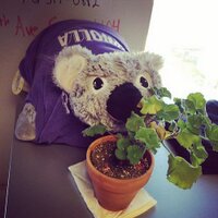 Dwolla Kwolla (@dwollakwolla) 's Twitter Profile