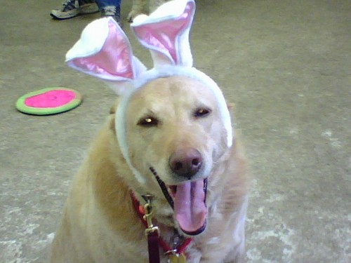 JSGreenberg4's profile picture. msnbc longform, newsie, trying to be the person my dog thinks i am. Opinions are my own. Links and tweets are not endorsements.