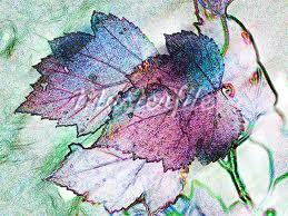 RhondaKVickers's profile picture. Enjoying living one day at a time!!! Daughter, Wife, Mom, Grandma, Friend,  - gratitude.