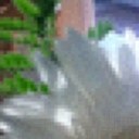 Kim foo - @kimette333 - Twitter