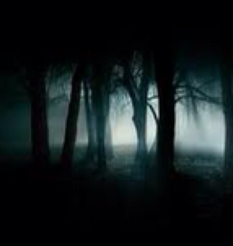 AppleiNoc's profile picture. Sportlich und technisch interessiert