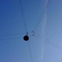 Nezam Qarooni (@nqarooni) 's Twitter Profile