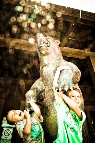 saulmon's profile picture. 