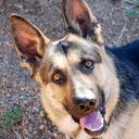 Arthur Behrend - @ArtBeh - Twitter