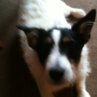 altremisapp's profile picture. Leaders in promoting Health and Safety in the workplace