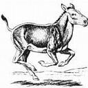 Robbie Mcclure - @SPARIES - Twitter