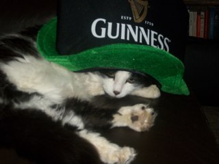 GeraldineFreema's profile picture. 