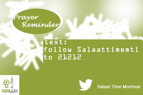 ledtest's profile picture. 