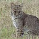 Lindsay Marsh - @LindsayMarsh1 - Twitter