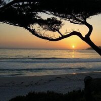 Carmel-By-The-Sea (@carmelbtsea) 's Twitter Profile