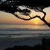 Carmel-By-The-Sea (@carmelbtsea) Twitter profile photo