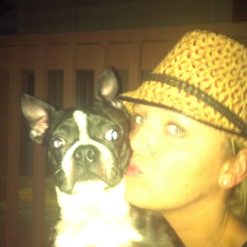 CaseeK11's profile picture. Just a small town girl, living in a lonely world. She took the midnight train going anywhere.