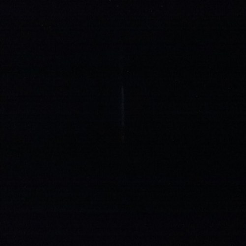 dg291093's profile picture. 