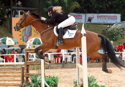 fasso hipismo Amo cavalos de paixao soou Brasil
