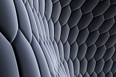 swaybarpdx's profile picture. 