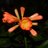 nck1030's profile image