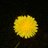 ksnan401's profile image