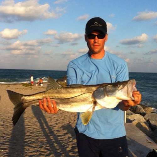 anthonyhmorris's profile picture. 