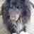 shoko807's profile image