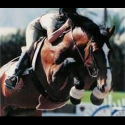 LifeofRiders's profile picture. live to ride, ride to live.  #teamfollowback