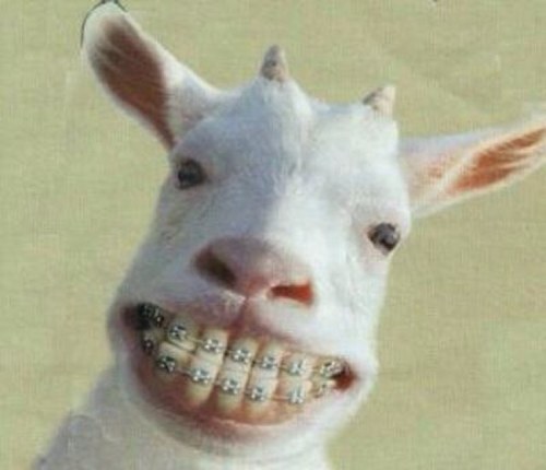 carlos_gandia's profile picture. 