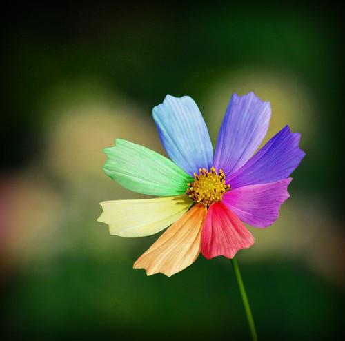 colourful life,follow me,find the beauty