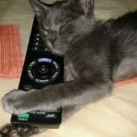 Rosario Celaya R. (@ceraro) 's Twitter Profile