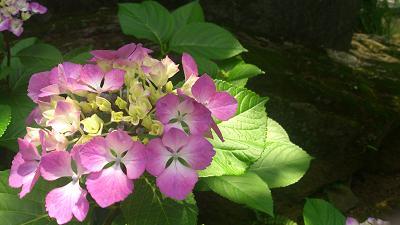 ３才男児に育てられてるアラサー。ﾘｰﾏﾝｼｮｯｸ入社。保険大手転勤職でﾊﾟﾜﾊﾗﾏﾀﾊﾗ更に閑職異動＆降格にめげつつ働き続け。産後半年で復職も３年以上元のポジションにすら戻れず。2018年秋、収入＆キャリアアップ＆転勤無某業界最大手総合職へ転職。今出ないと糞会社にしがみつくしかなくなるからね。
気軽に絡み絡まれぇぃ