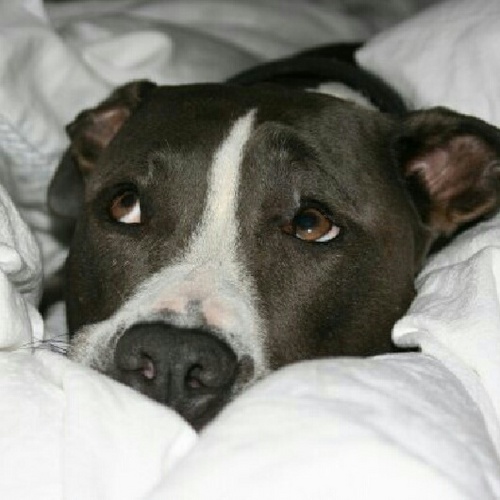 JayneneM's profile picture. 