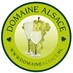 Domaine Alsace (@domainealsace) Twitter profile photo