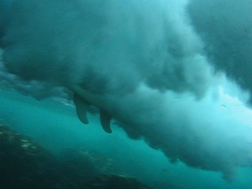 SurfShacked's profile picture. 