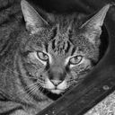 Paul Altmann - @Paul89Puma - Twitter