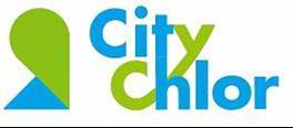 Tackling urban soil and groundwater contamination caudes by chlorinated solvents.