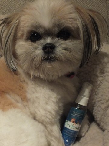 ONLY 100% natural topical pain treatment 4 pets with arthritis, joint pain & degenerative joint disease. Drug-free. Safe for all shapes & sizes. petarnicure.com