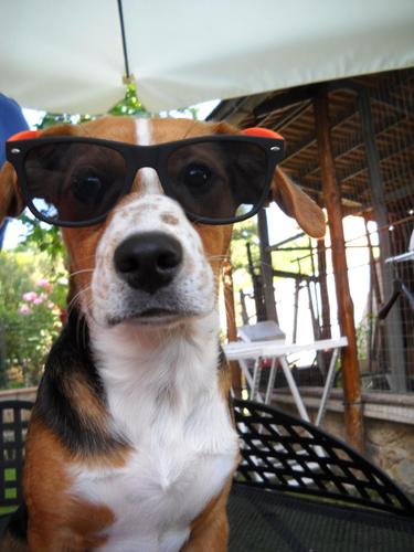 giu187's profile picture. dopo la mamma amo solo la juve :)