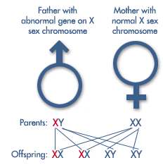 Your source for the latest news on Genetics