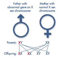 Genetics watch (@geneticswatch) 's Twitter Profile