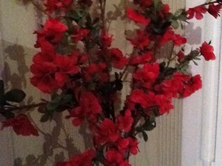 tvkatrich's profile picture. Я жива и это главное! Люблю футбол, рыбалку, свою собаку и домашнюю еду.I love football, fishing, my dog, and homemade food.