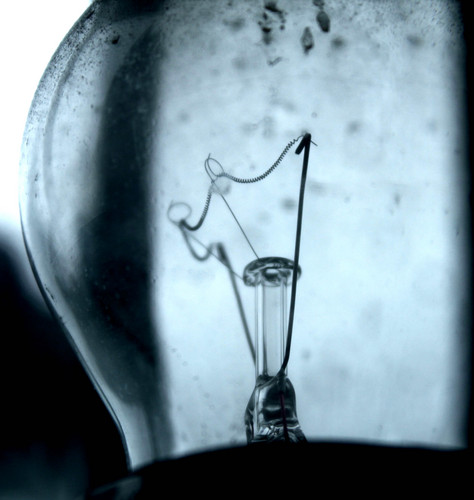 Lovethephotos1's profile picture. A photographer Looking for an audience, taking you on a journey, with the moments I capture!