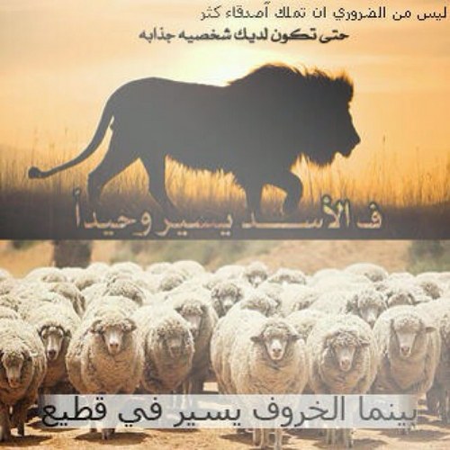 13_mkl's profile picture. الصمت حكمه في عيون الرجال