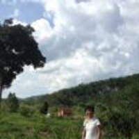 WT Liang (@wtliang1) 's Twitter Profile