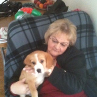 dmort67's profile picture. 