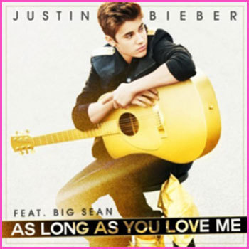 I LOVE Justin bieber and harry from 1D and Selena! they are my idols. i am, and always will be a TRUE belieber We beliebers will take haters DOWN!!! YEAH YUZ ;P
