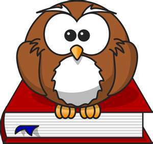 Retired school librarian.Interested in school libraries, books and more books and technology. Married with two grown children and one beautiful granddaughter.