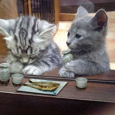 吹いたら寝ろ Waraeru Ww Twitter