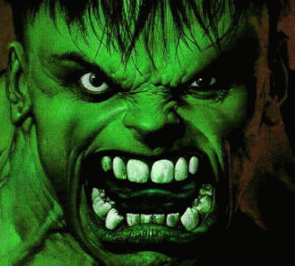 HULK TAKE MEETINGS. HULK MEET VENDORS. HULK TRY TO WORK WITH I.T. DEPARTMENT.  HULK USUALLY THEN SMASH.