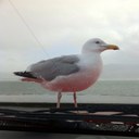 Darren Ramsden - @dsramsden - Twitter