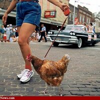 chair de poule (@cpoule) 's Twitter Profile