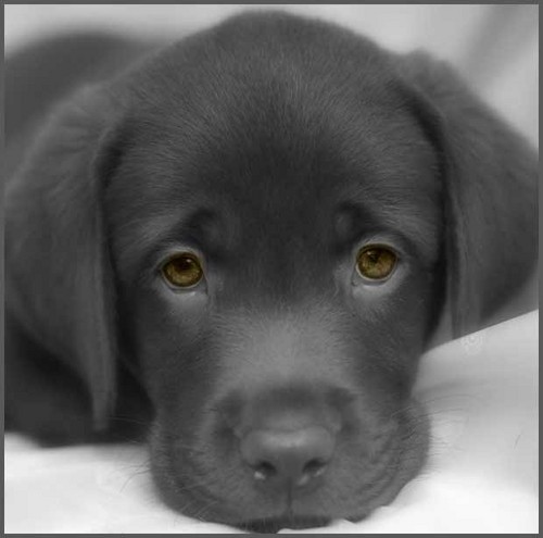 newobzorseti's profile picture. Лажу по инету, нахожу всякое интересное. Фоловинг, джопинг, допинг :) Взаимный фоловинг.