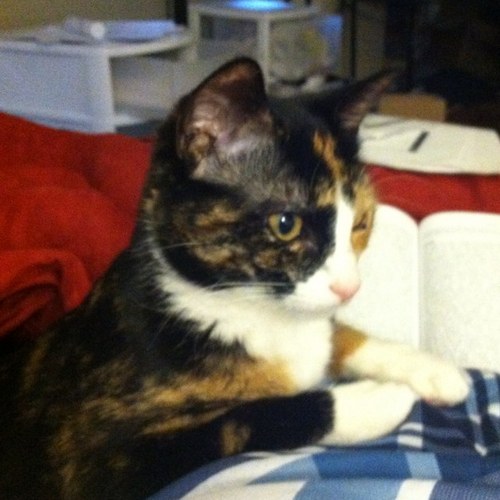 VickieHolker's profile picture. only looking for local news and real friends. others need not apply including people selling things